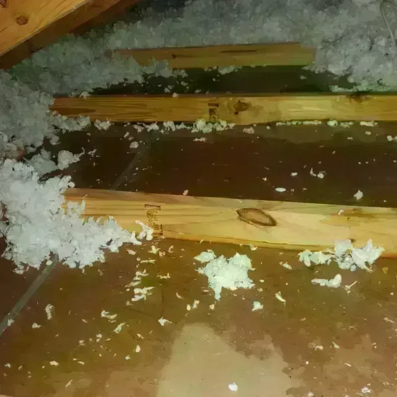 Attic Water Damage in Mamou, LA